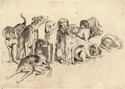 Elf Hunde von Wenceslaus Hollar